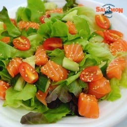 สลัดแซลมอน (ผักออร์แกนิคและแซลมอนสด)