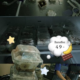 หนึ่งเดียว บานอฟฟี่