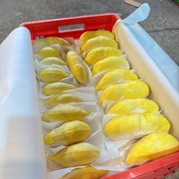 ดีเอ็ม ทุเรียนทองคำ / DM Durian Gold นิรันดร์เรสซิเด้นท์ 1 ตึกA รามคำแหง2 ซอย23 แยก 7 แขวงดอกไม้ มีป้อมยามตรงข้ามห้องนิติบุคคล