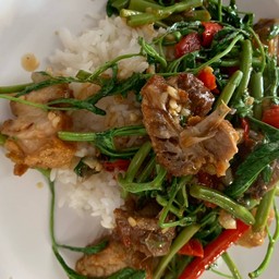 ข้าวกะเฉดหมูกรอบ
