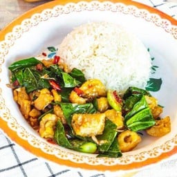 ผัดคะน้าราดข้าว.