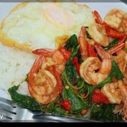 ต้นอ้อ สมุทรสาคร