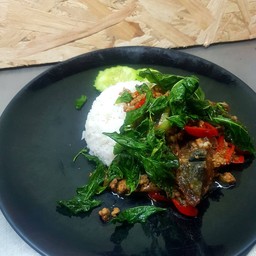 กะเพราไข่เยี่ยวม้ากระเพรากรอบราดข้าว