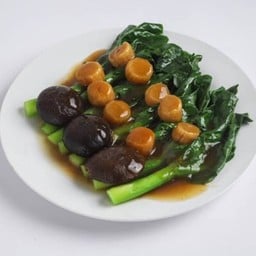 คะน้าหอยเซลล์ 蚝汁干贝炒芥蓝  Stir Fried Chinese Kale with oyster Sauce