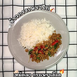 หมัดเมา กระเพราเดือด