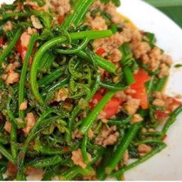 ผัดผักกูดหมูสับ