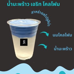น้ำมะพร้าว เอริท โคลโฟม