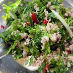 ยำผักกูดหมูสับ