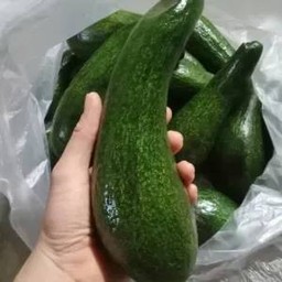 อะโวคาโดปั่น