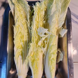 ผักกาดขาว