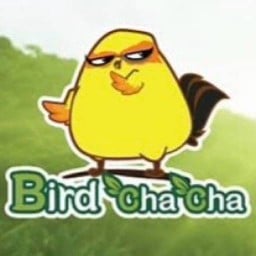 Bird cha cha ร้อยเอ็ด