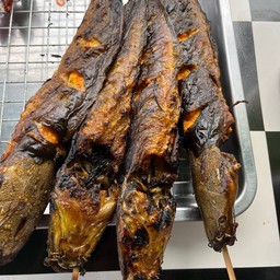 ปลาดุกย่าง