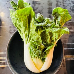 เบบี้บ๊อกฉ่อย