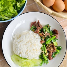 คะน้าเนื้อน้ำมันหอยราดข้าว