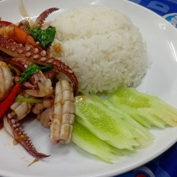 ข้าวราดกระเพราทะเล