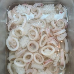 ปลาหมึกวง ปลาหมึกสัปประรด