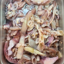 ปลาหมึกดอกไม้ หนวดหมึก เบบี้จิ๋ว