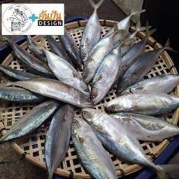 อันปัน ปลาทูมัน