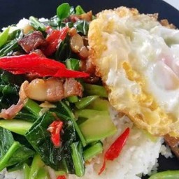 ผัดคะน้าราดข้าว