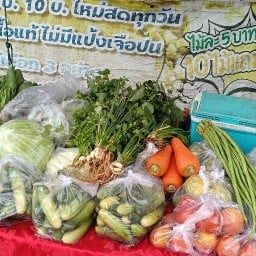 เจ๋งขายผัก หอพักอยู่ดี
