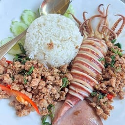 กระเพราหมึกระเบิด