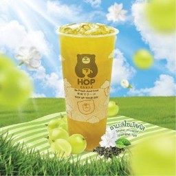 ชามะลิไซมัสคัส