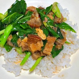 ข้าวคะน้าหมูกรอบ