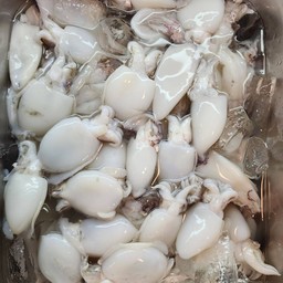 ปลาหมึก