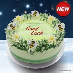 เค้กเลเยอร์ใบเตย 1 ปอนด์