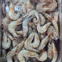 กุ้ง