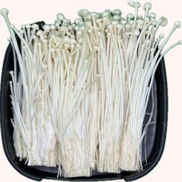 เห็ดเข็มทอง