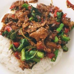 กะเพราเนื้อราดข้าว