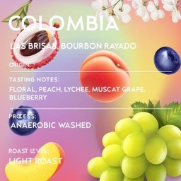 Colombia Las Brisas, Bourbon Rayado, Anaerobic Washed