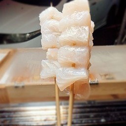 ปลาดอลลี่