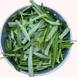 ผักบุ้ง