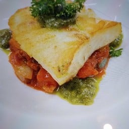 ปลาค็อดเสิร์ฟพร้อมสตูว์ผักรวมในซอสมะเขือเทศและเพสโต้