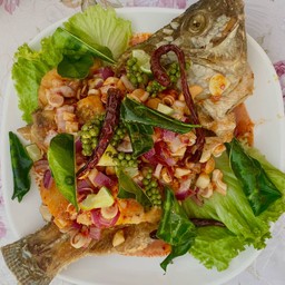 ปลานิลสมุนไพร (ตัว)