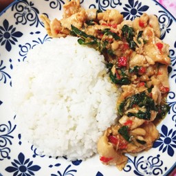 ข้าว กะเพราไก่