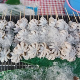 ปลาหมึกสายย่าง