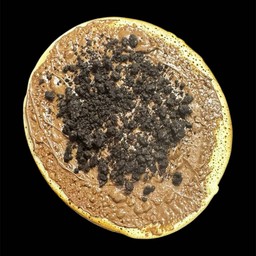 นูเทลล่า+โอริโอ้้ครั้นชี่