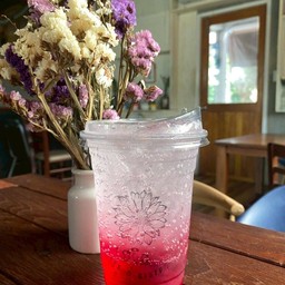 แดงโซดา