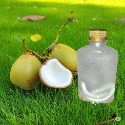 น้ำมะพร้าว