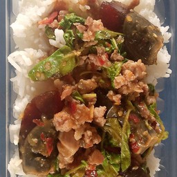 ข้าวกระเพราหมูสับ+ไข่เยี่ยวม้า