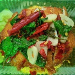 ข้าวไข่ข้นไก่กรอบซอสกระเพราพริกแห้ง