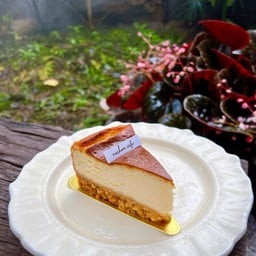 CHEESE CAKE