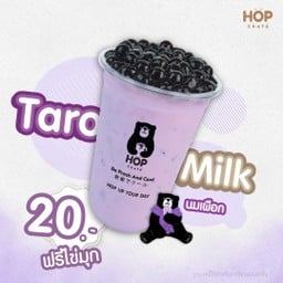 Hop Chafe' เมืองพล