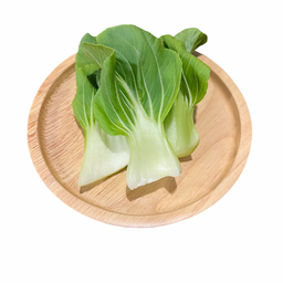 กวางตุ้งฮ่องเต้