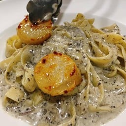 พาสต้าหอยเชลล์ผัดซอสทรัฟเฟิล scallop pasta with truffle sauce