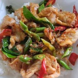 ผัดพริกแกงหมูชิ้น