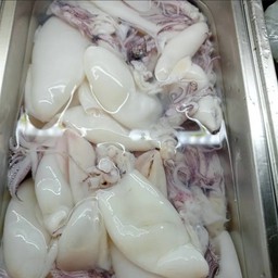 หมึกกล้วย 白鱿鱼